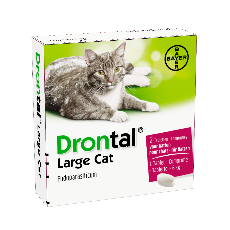 Drontal Cat (Katze)-5