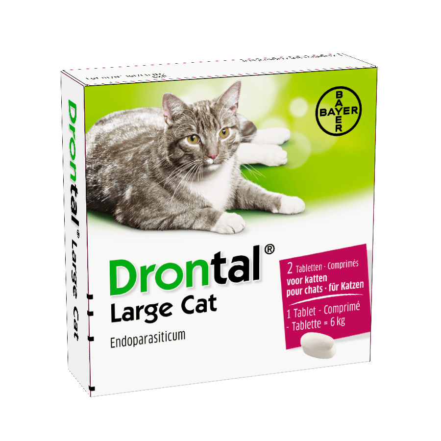 Drontal Cat (Katze)-6