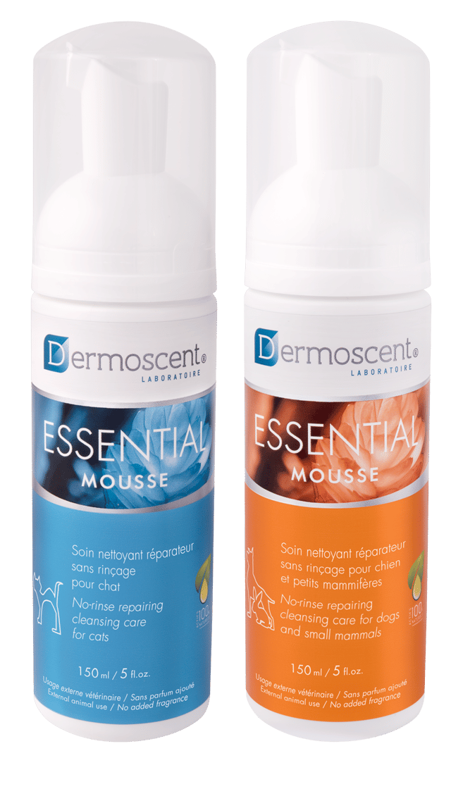Dermoscent Essential Mousse-1