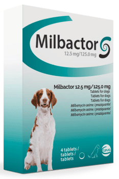 Milbactor Großer Hund 4 Tabletten-1