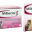 Milbactor kleine Katze/Kätzchen 4 Tabletten