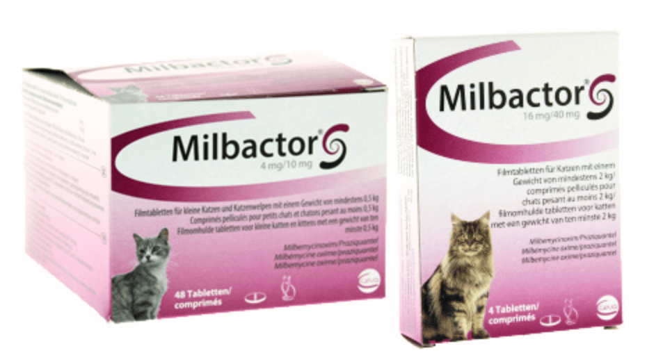 Milbactor kleine Katze/Kätzchen 4 Tabletten-1