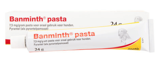 Banminth Pasta