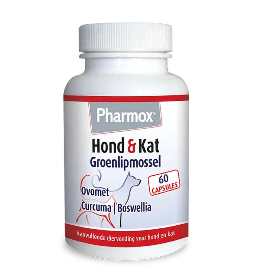 Pharmox Grünlippmuschel Hund & Katze-1