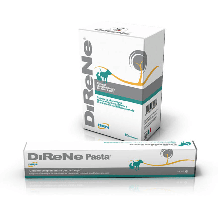 DiReNe-3