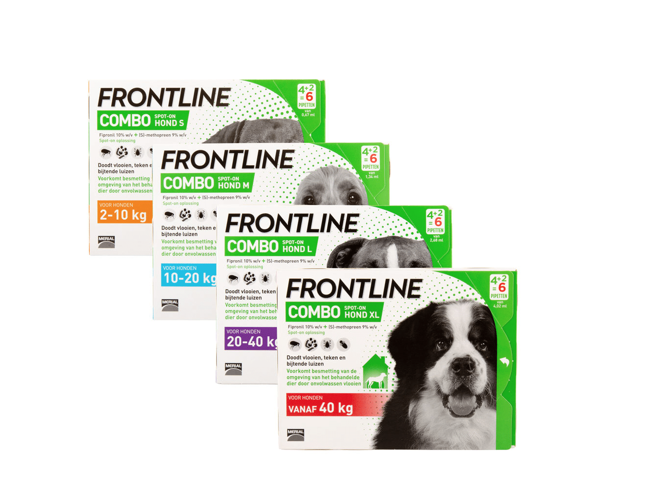 Frontline Combo Hund-1