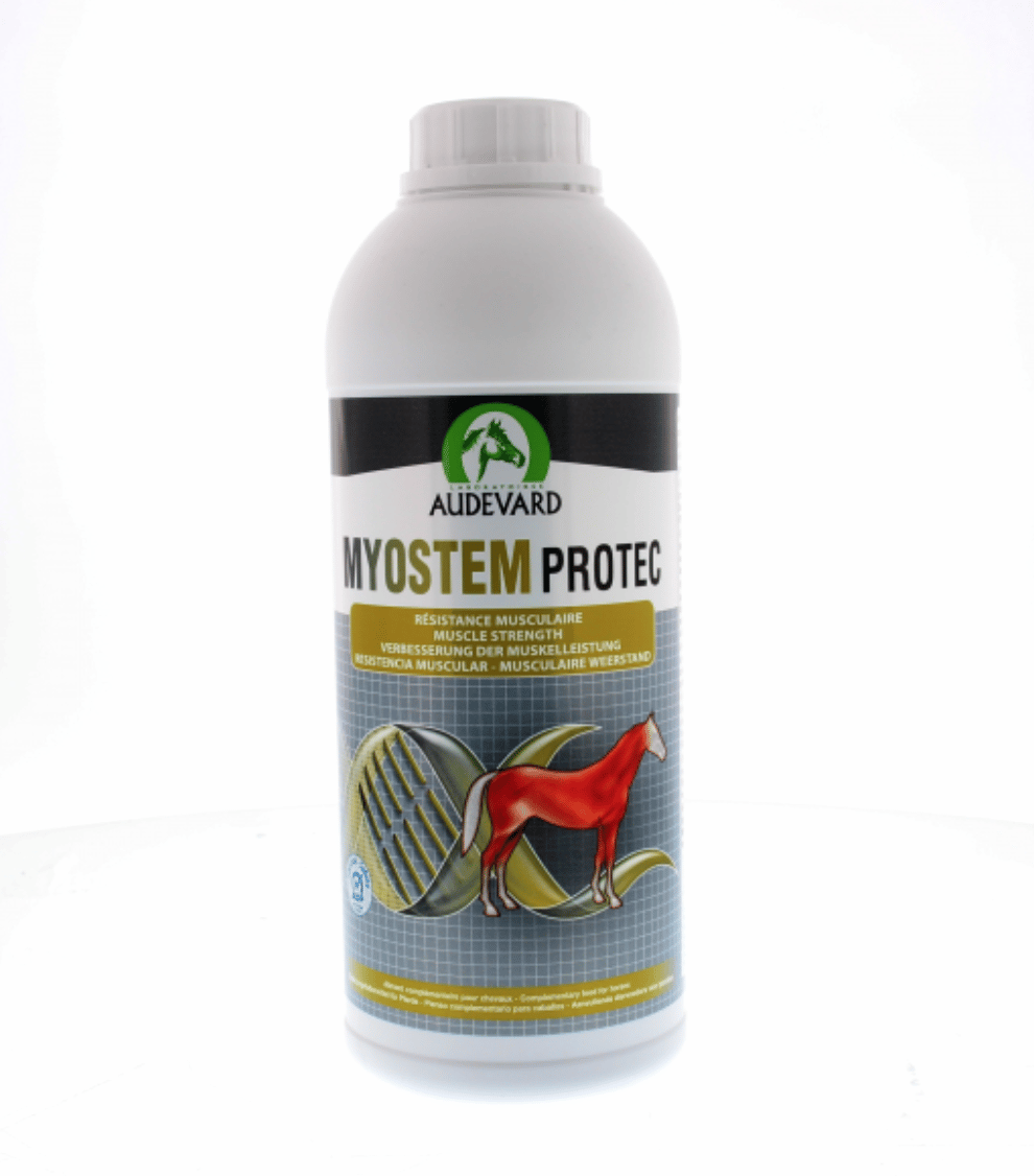 Audevard Myostem Protec-2