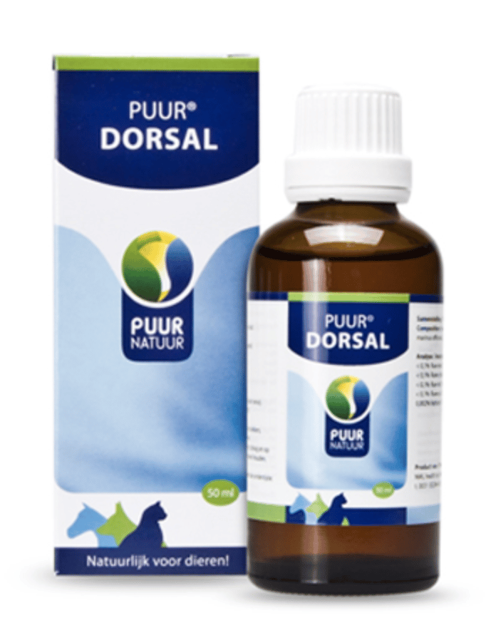 Puur Dorsal-1