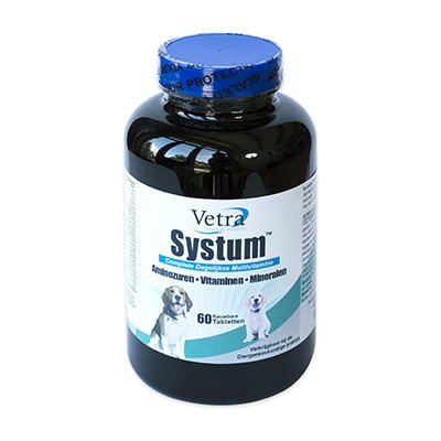 Systum (Multivitamin)-1