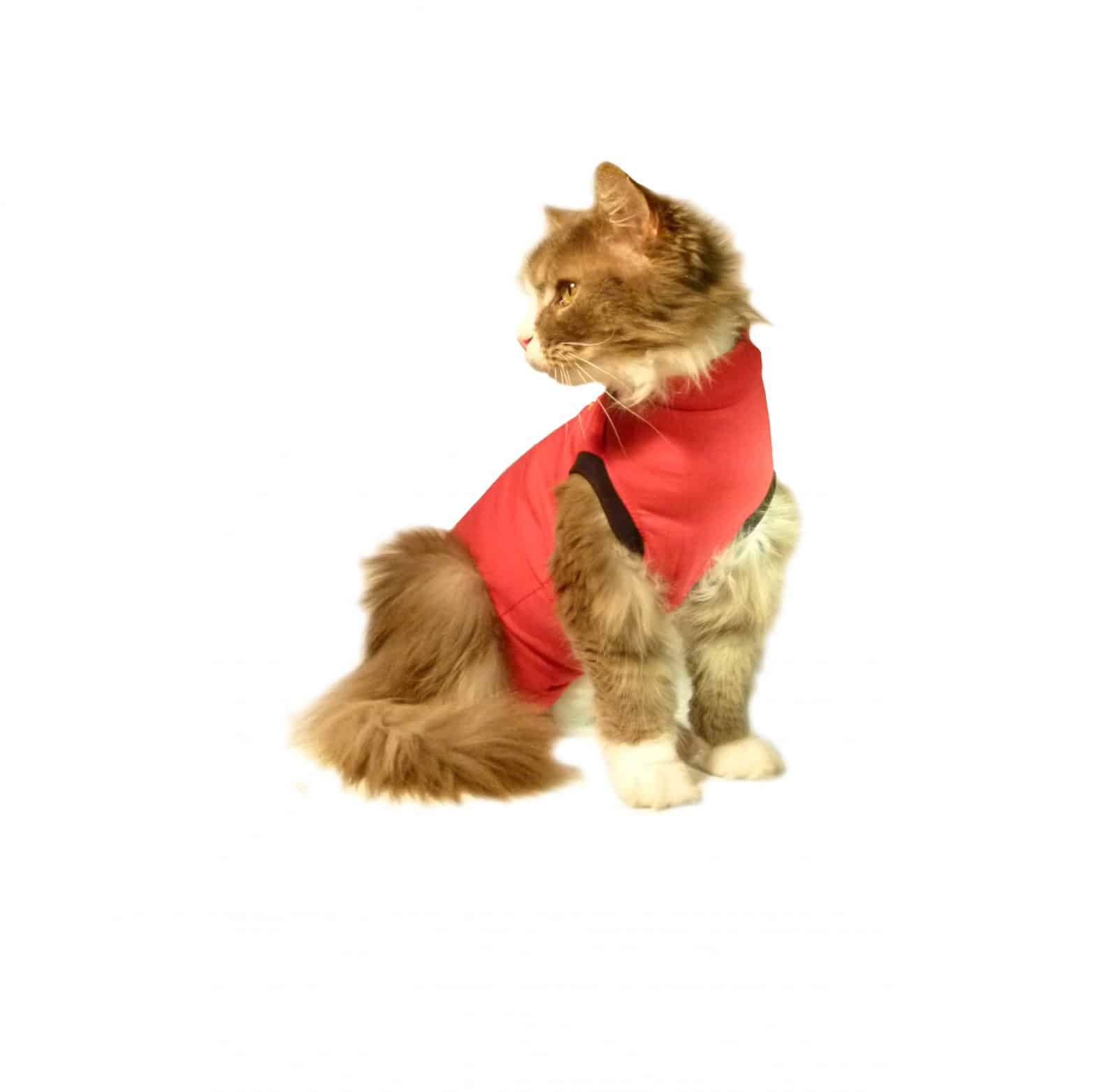 Medical Pet Shirt Katze-4