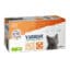 Yarrah – MultiPack Pastete Katze Bio 8 x 100 gr