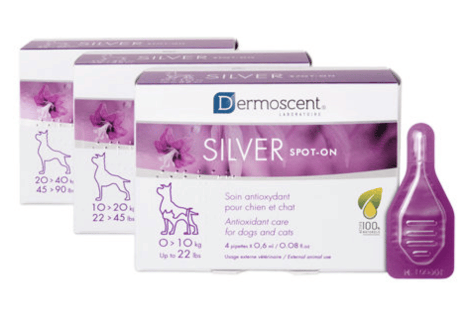 Dermoscent Silver Spot-on-3