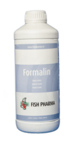 Fish Pharma Formalin-1