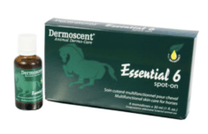 Dermoscent Essential 6 Spot-On Pferd
