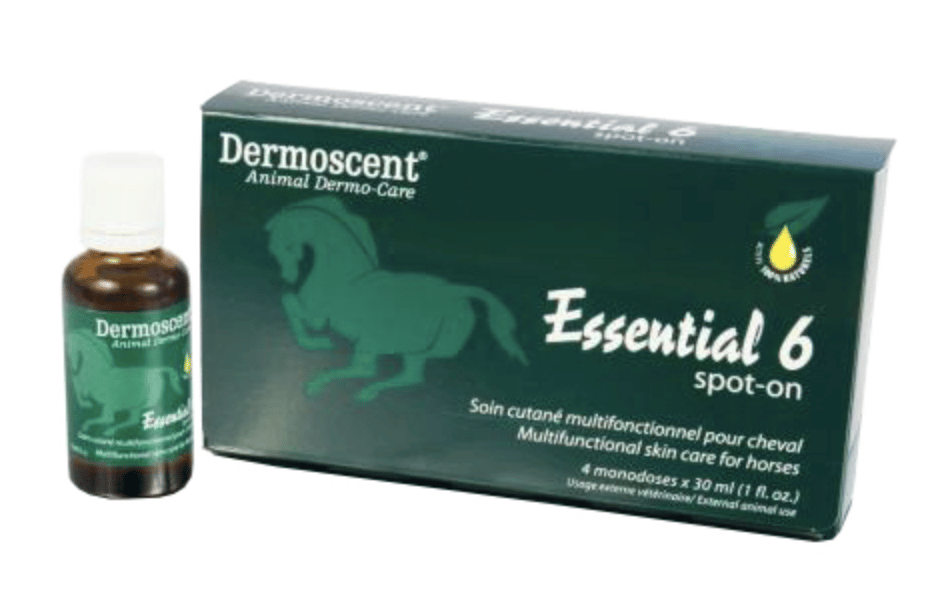 Dermoscent Essential 6 Spot-On Pferd-1