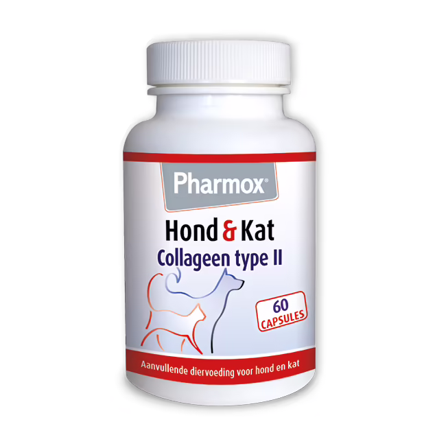 Pharmox Kollagen Typ II Hund & Katze-1