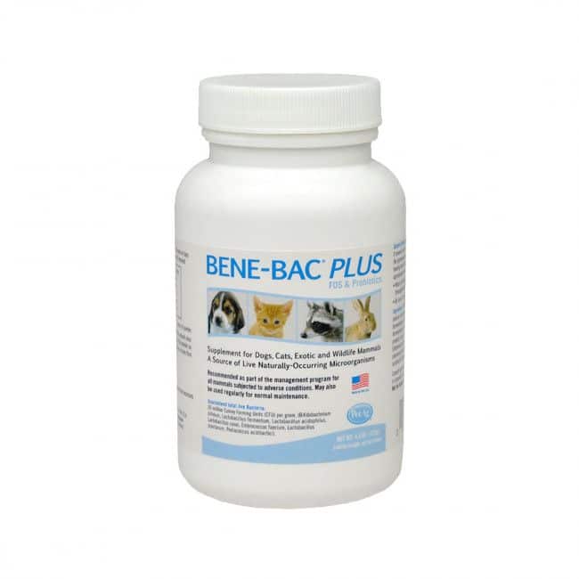 Bene-Bac pet powder-1
