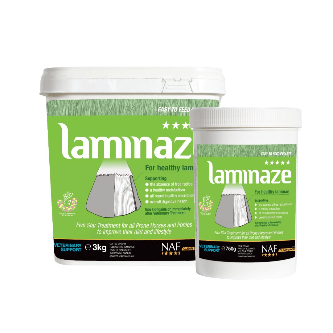 NAF Laminaze-1