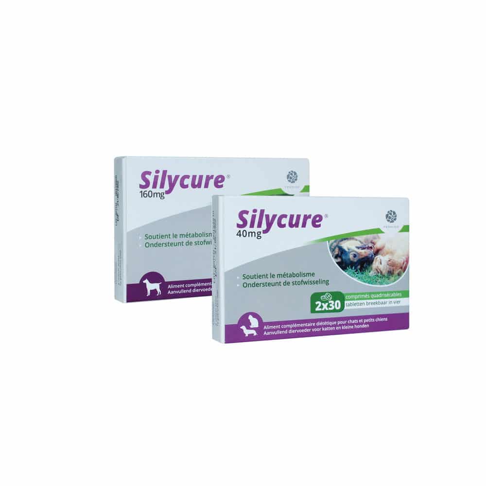 Silycure-1