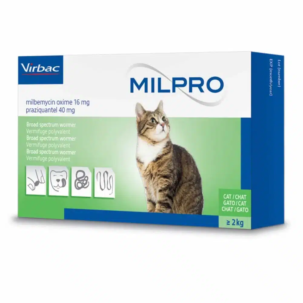 Milpro Katze-2