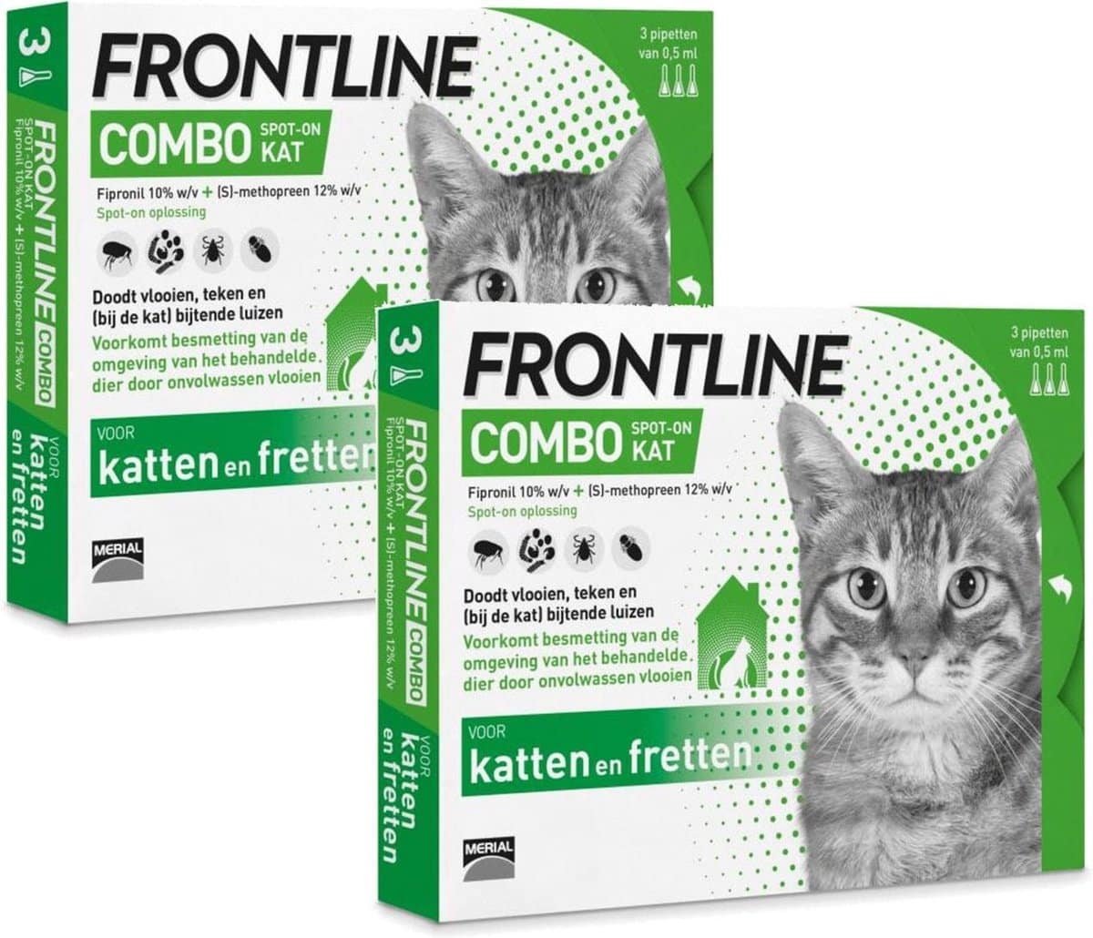 Frontline Combo Katze-2