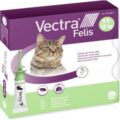 vectra felis katze