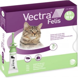 Vectra Felis-1