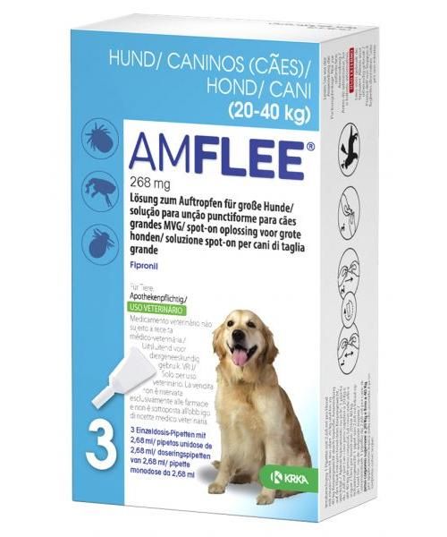 Amflee Spot-on Hund-4