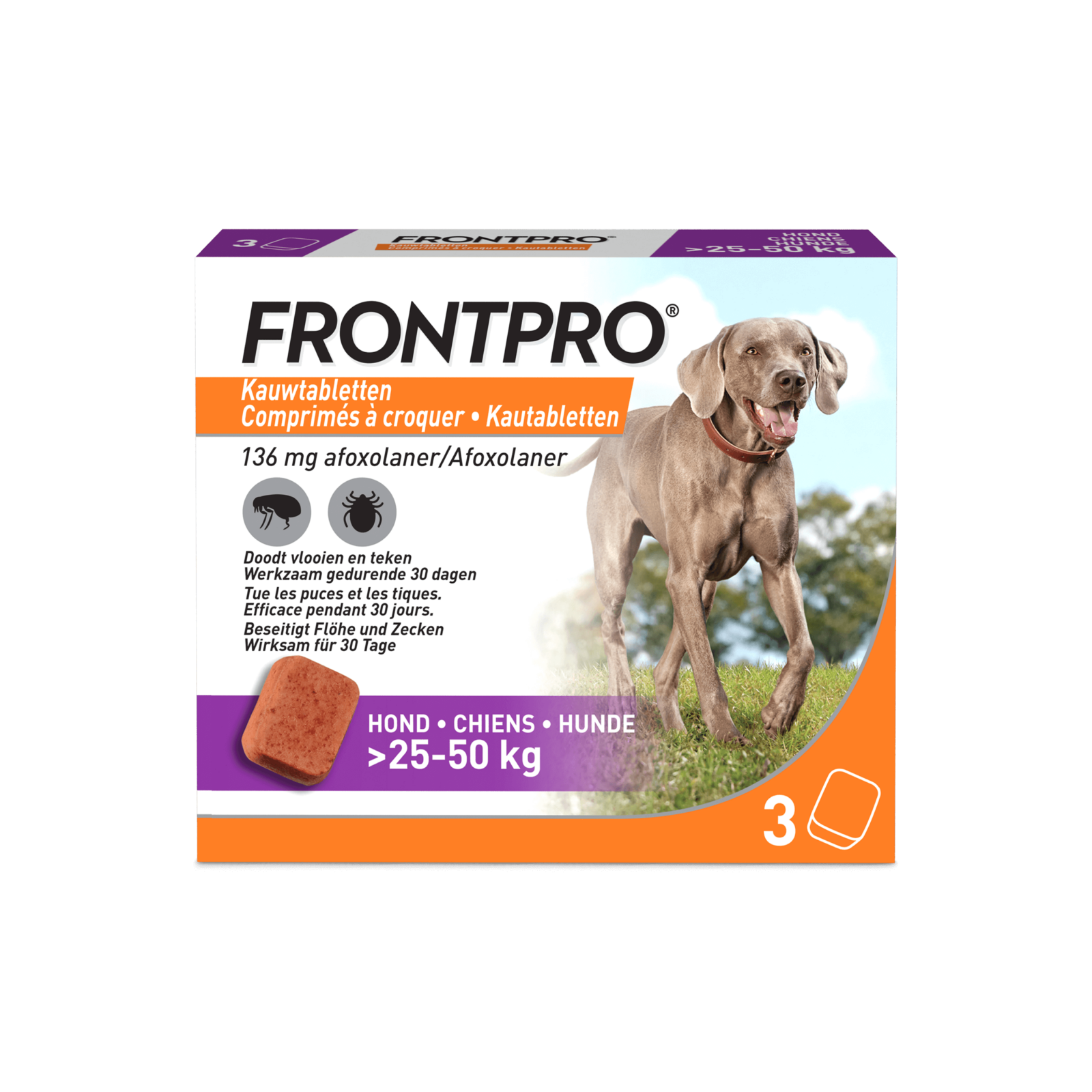 FRONTPRO Kautabletten-10