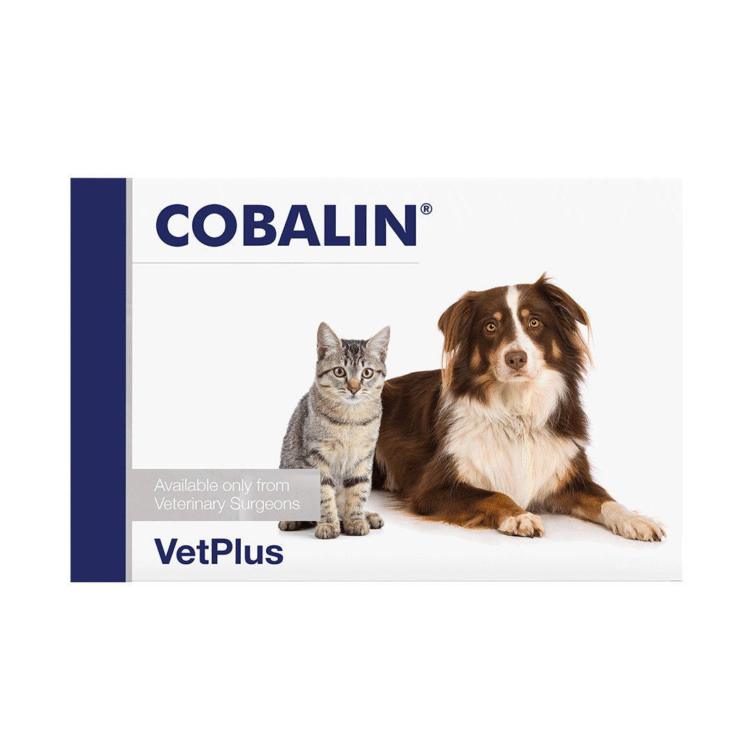 Vetplus Cobalin-1