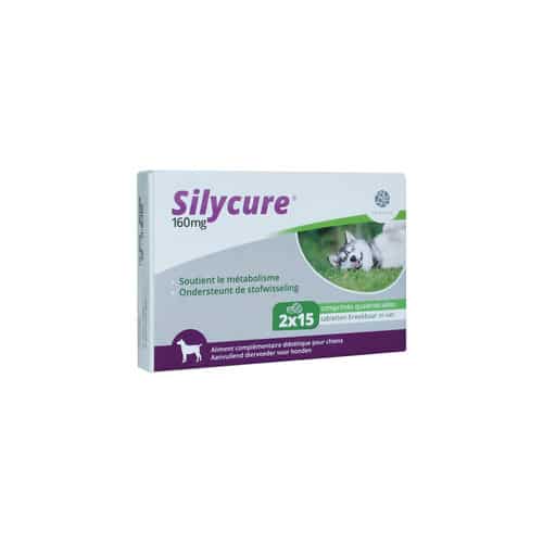 Silycure-2