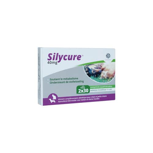 Silycure-3