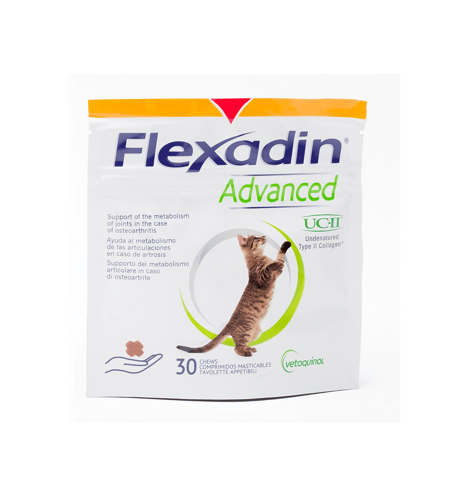 Flexadin – Advanced Katze-2