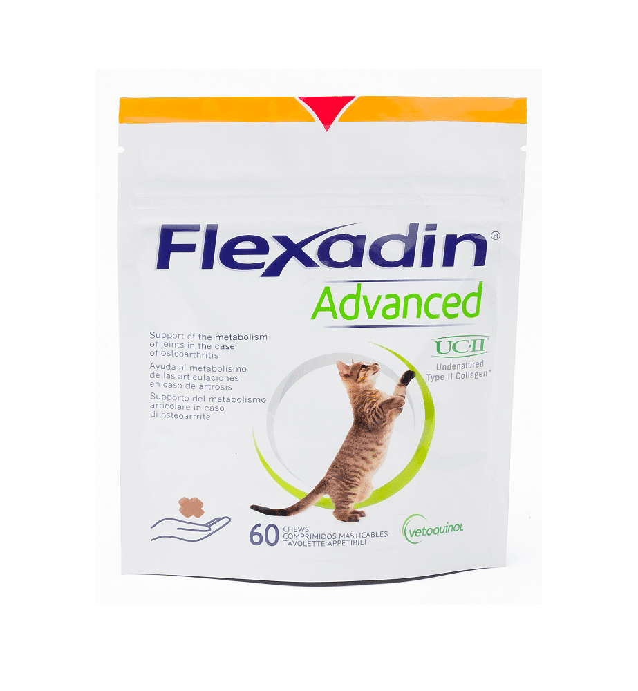 Flexadin – Advanced Katze-3