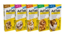 adtab-kautabletten-hund