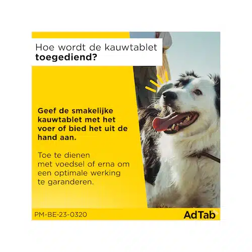 AdTab™ Kautabletten – Hund-2