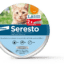 Seresto Katze