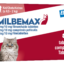 Milbemax Katze