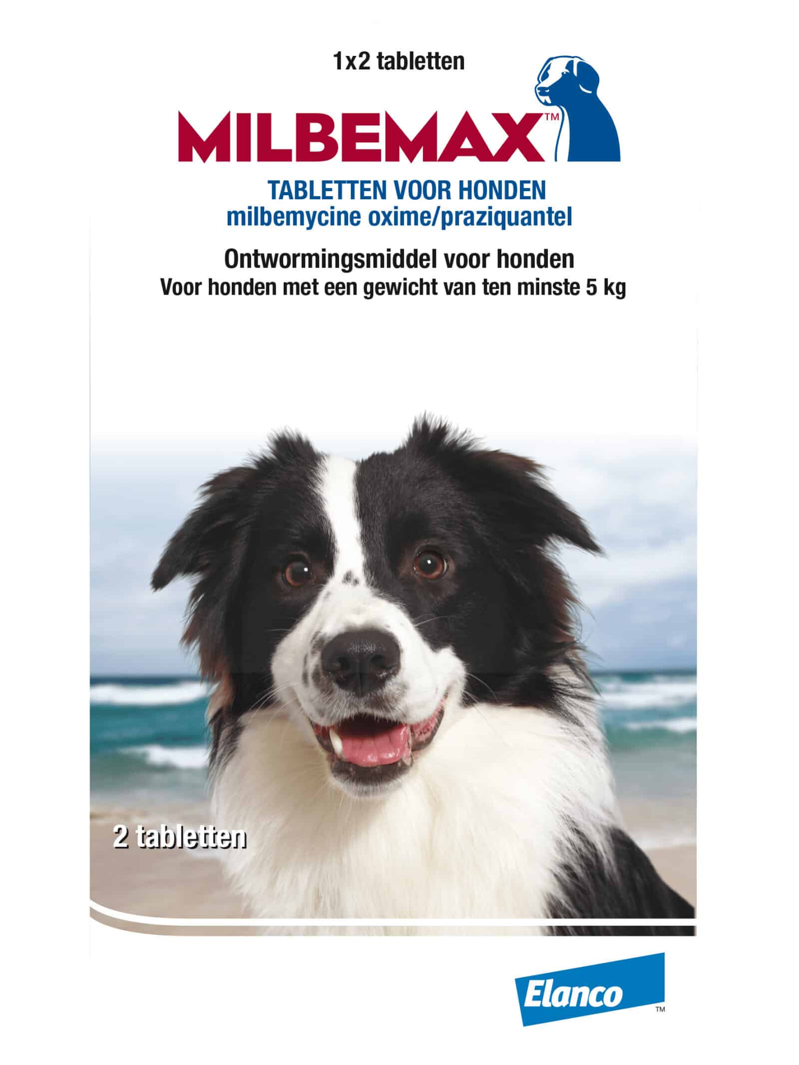 Milbemax Hund-4