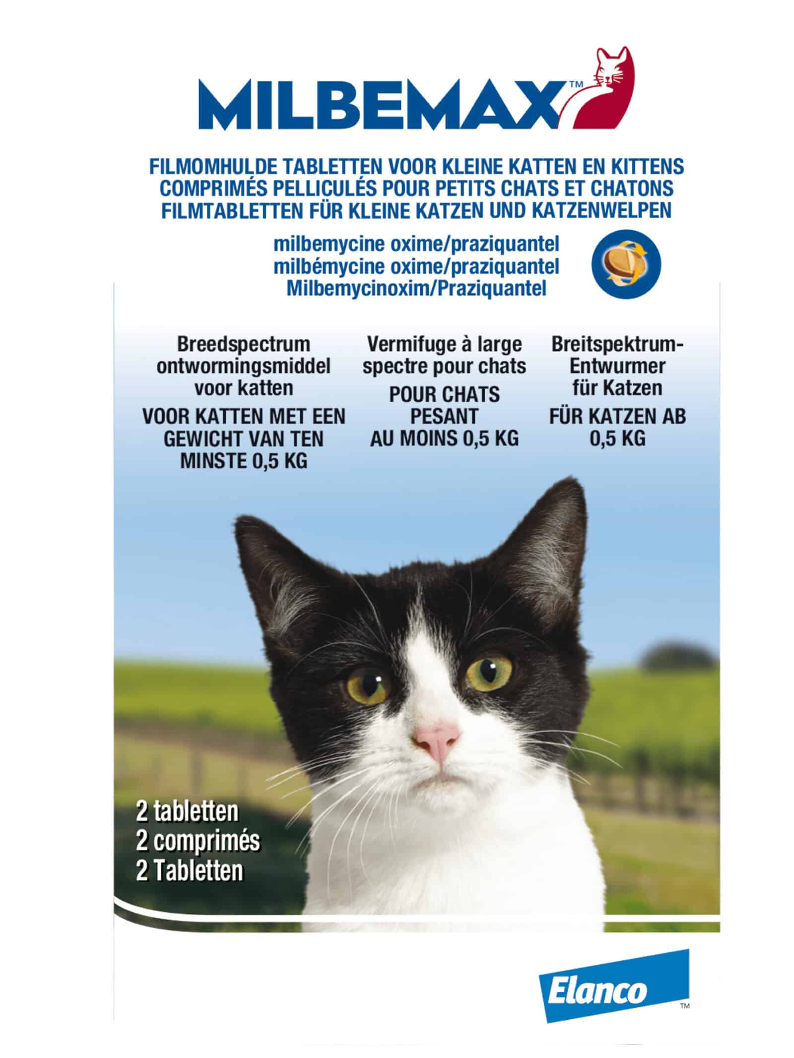 Milbemax Katze-3