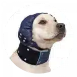 medical pet shirt head cover