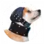Medical Pet Shirt – Head Cover