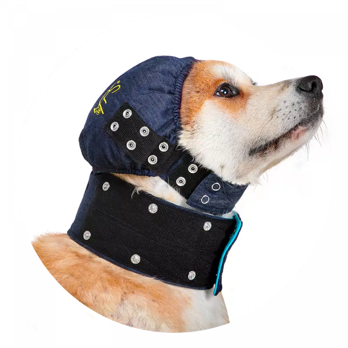 Medical Pet Shirt – Head Cover-3