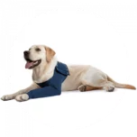 medical pet shirt voorpootmouw hond