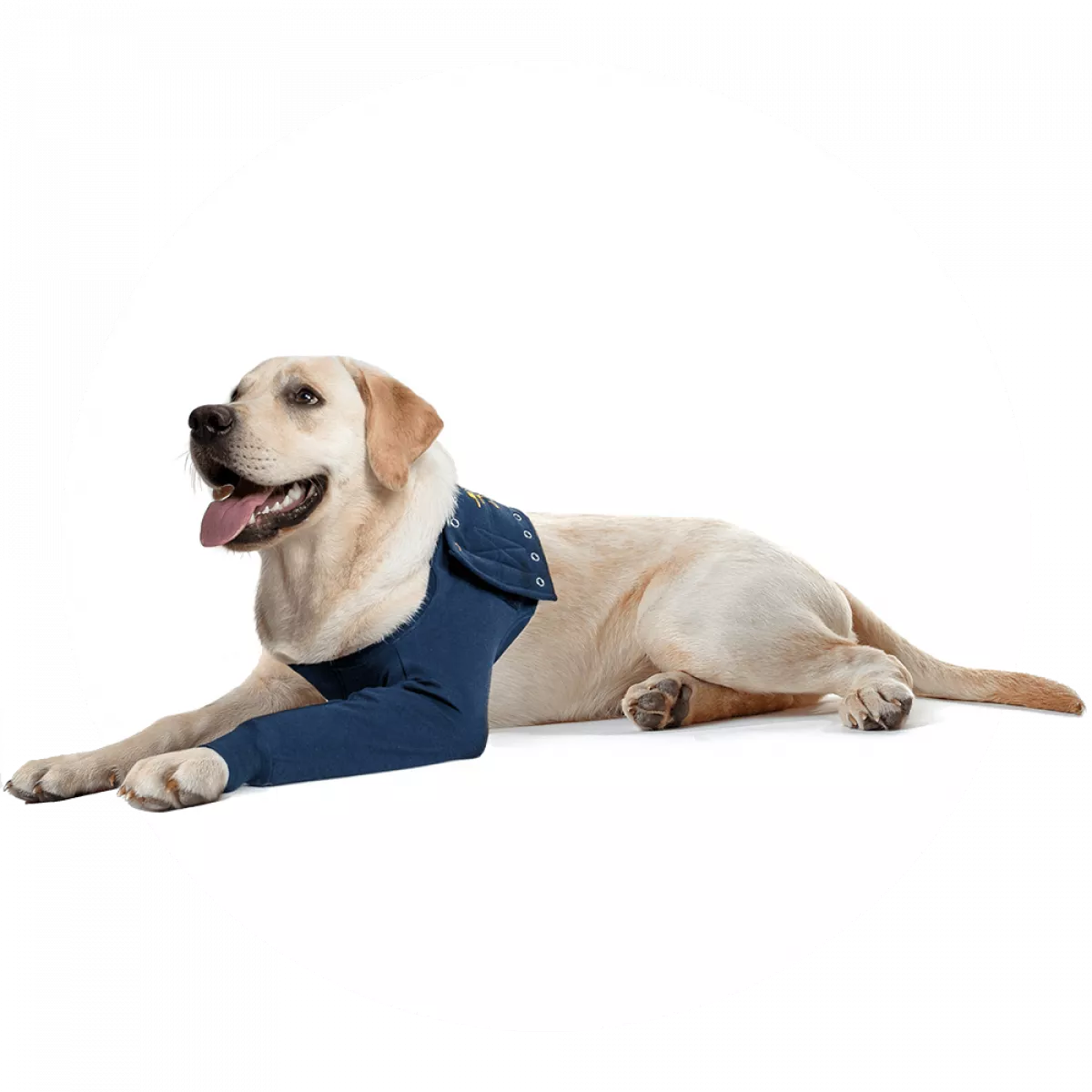 Medical Pet Shirt-TAZ Vorderpfotenschutz-1