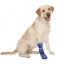 Medical Pet Shirt – Boot