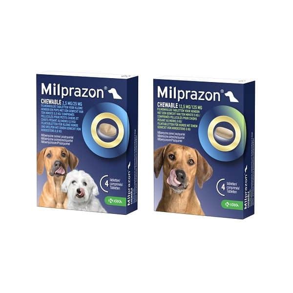 Milprazon Chewable Hund-1