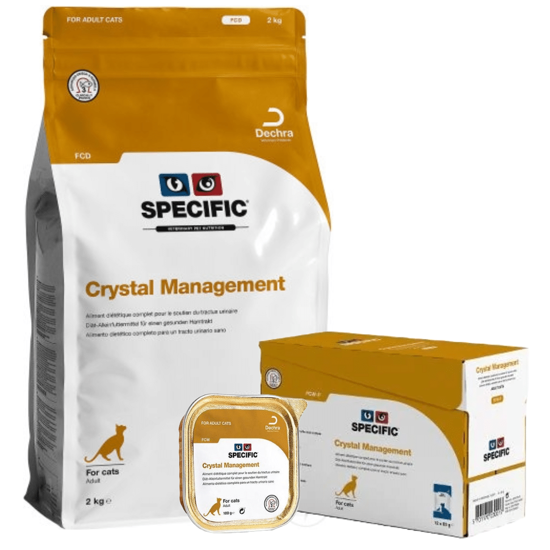 Specific Crystal Management Katze-1