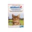 Milbemax Katze