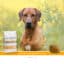 Sanimed Hypoallergenic DR Hundefutter